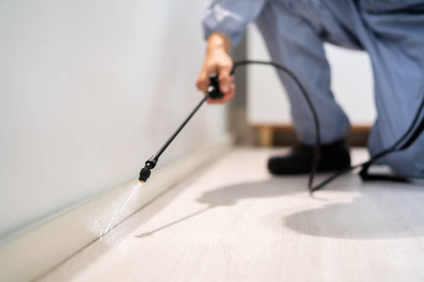 Licensed Pest Control service in Chantilly, VA - Show Me Pest Control