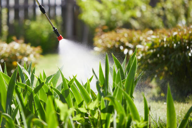 24/7 Emergency Ant Control experts in Chantilly, VA