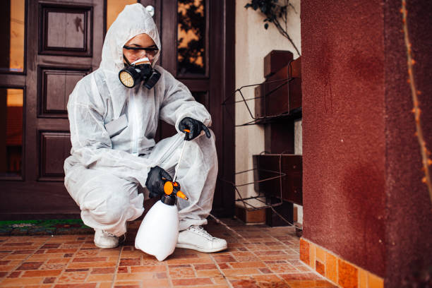 Reliable Ant Control contractor in Chantilly, VA by Show Me Pest Control